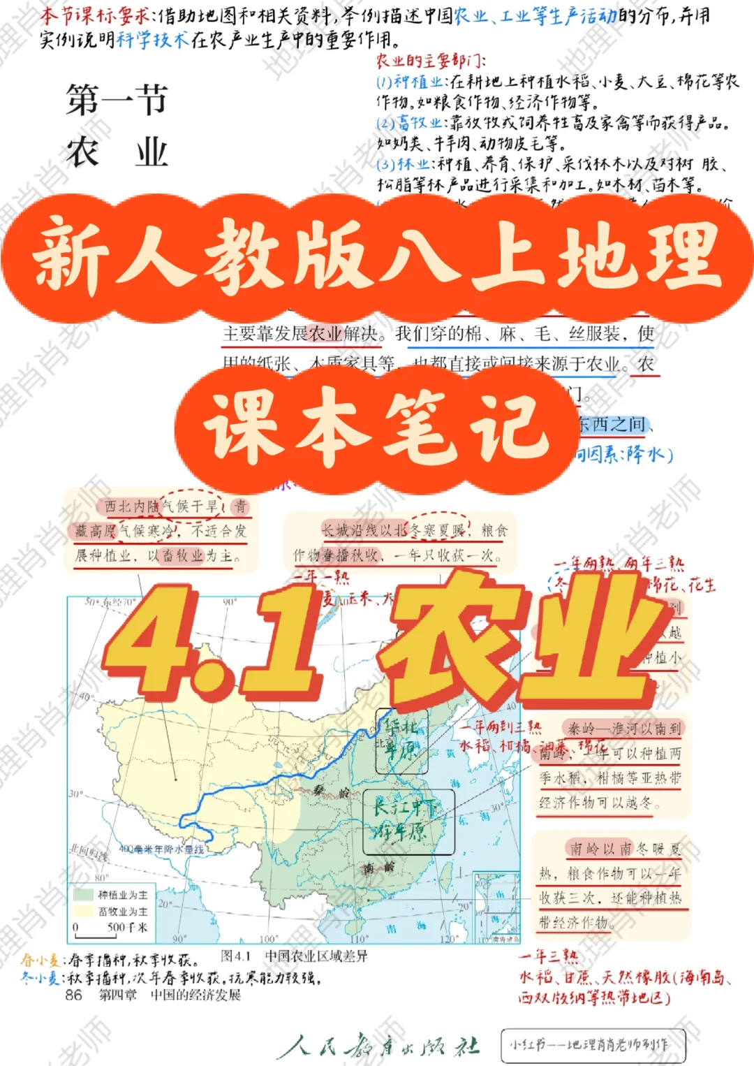 (定稿)新人教版八上｜课本笔记｜4.1农业