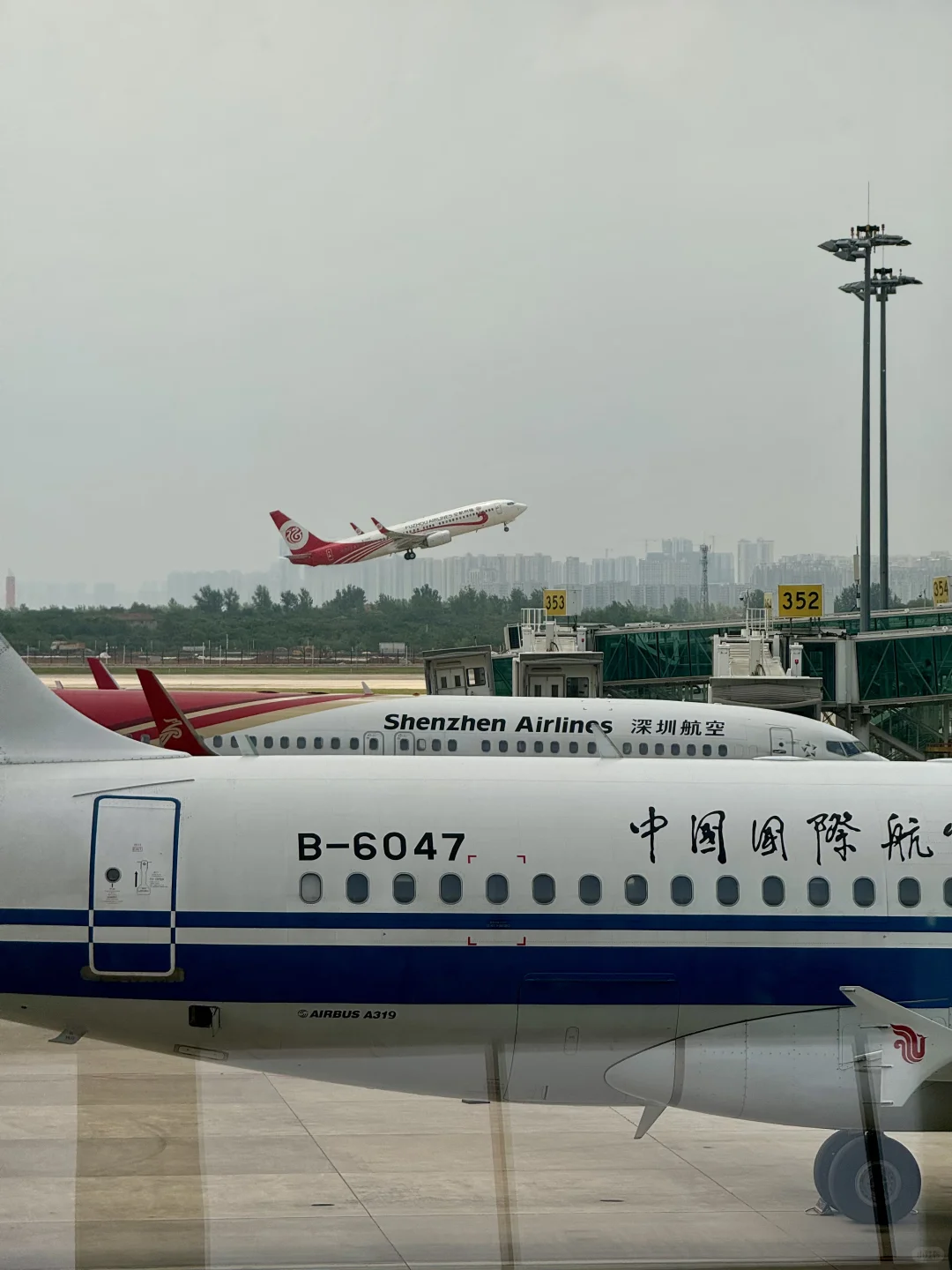 交换一张你在航站楼里拍的飞机✈