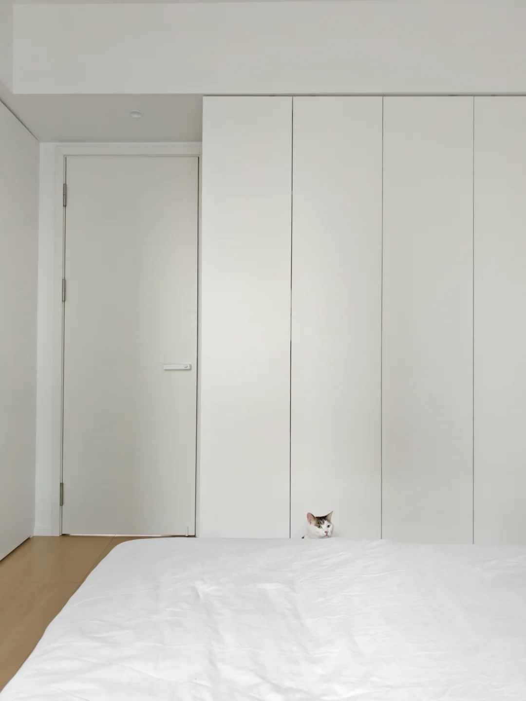 多乐士028配爱格w1000太完美了。