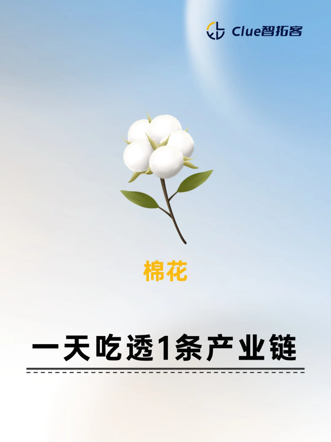 一天吃透一条产业链：棉花