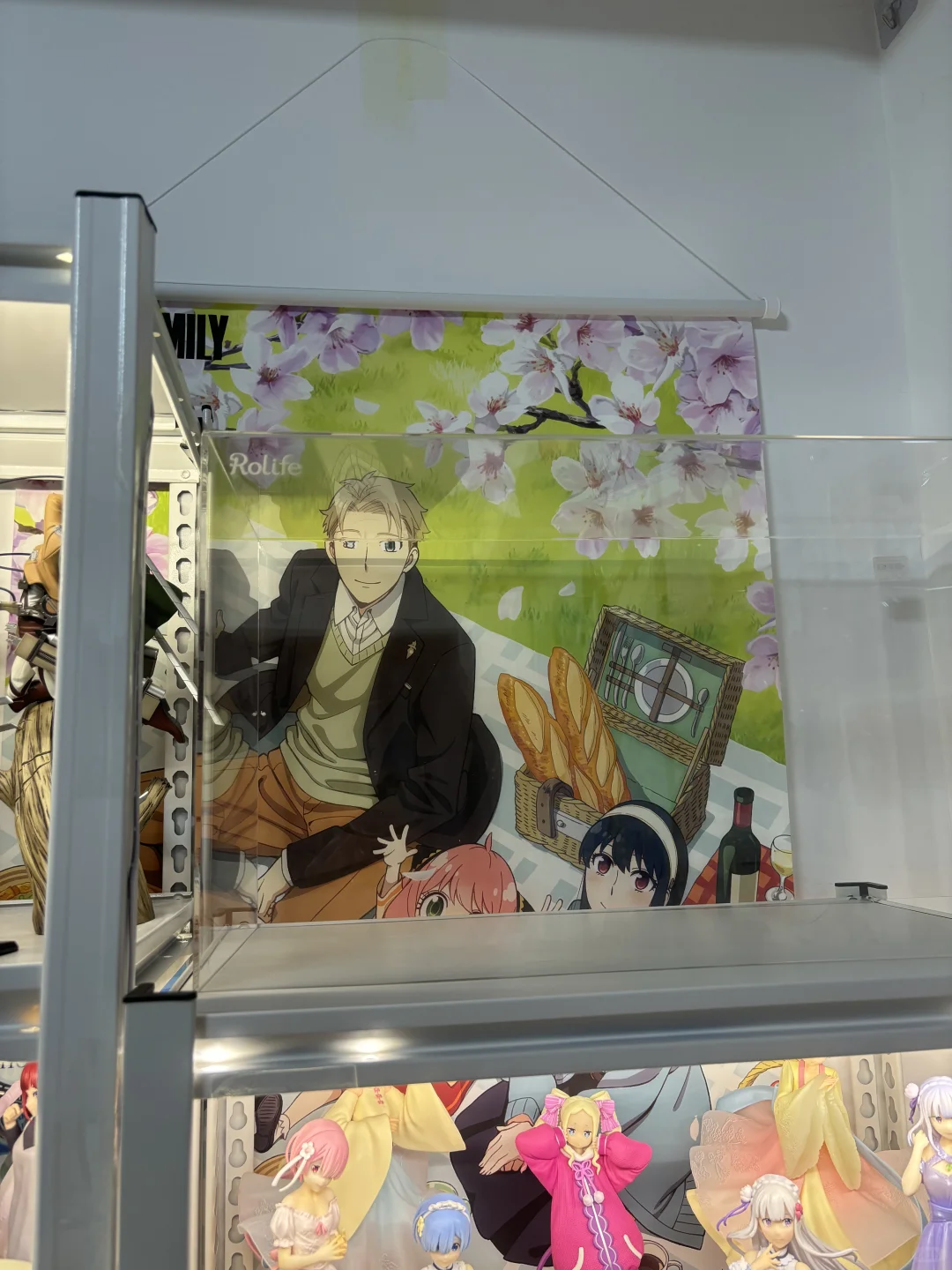 最近初步入手阿尼亚GK，顺便展示所有阿尼亚