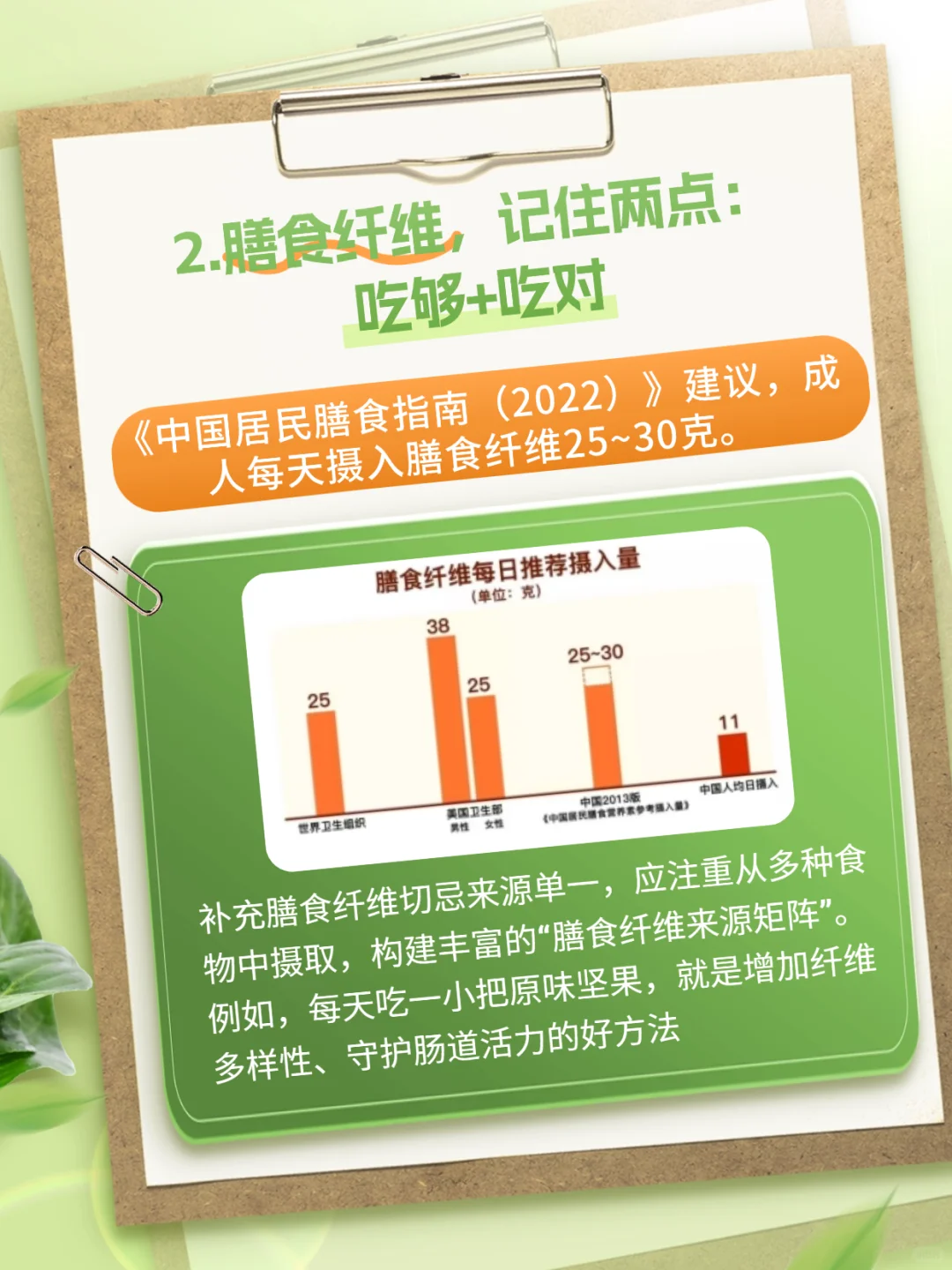 每天一把膳食纤维?解锁“一路畅通”?