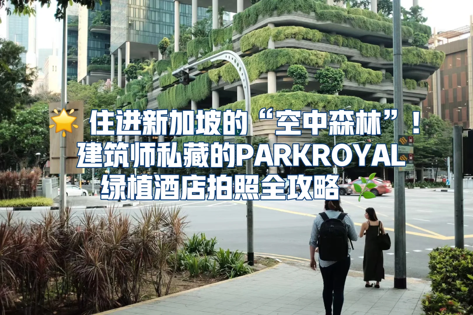 建筑师私藏的新加坡空中森林酒店拍照攻略