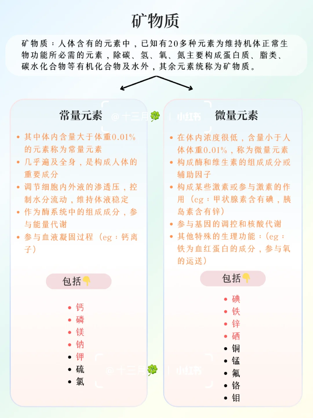 人体七大营养素-矿物质