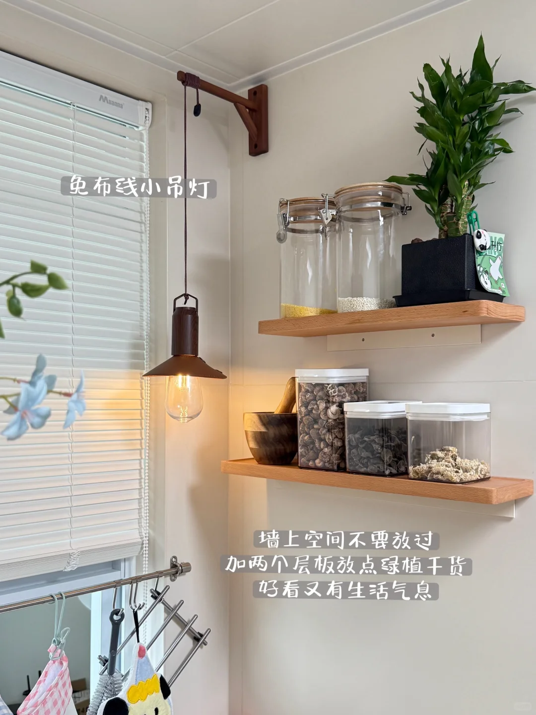 几个常被问的厨房好物?温馨治愈小角落✨