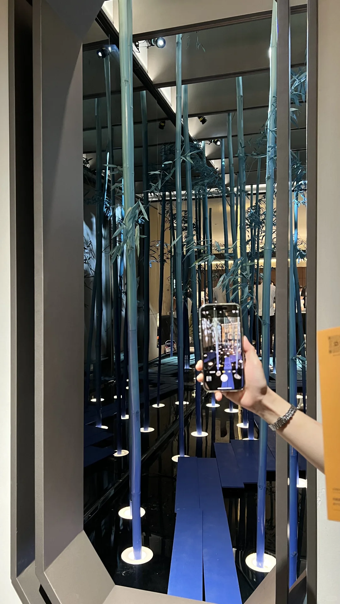 2025建材展的绿植选美大赛?，冠军是...