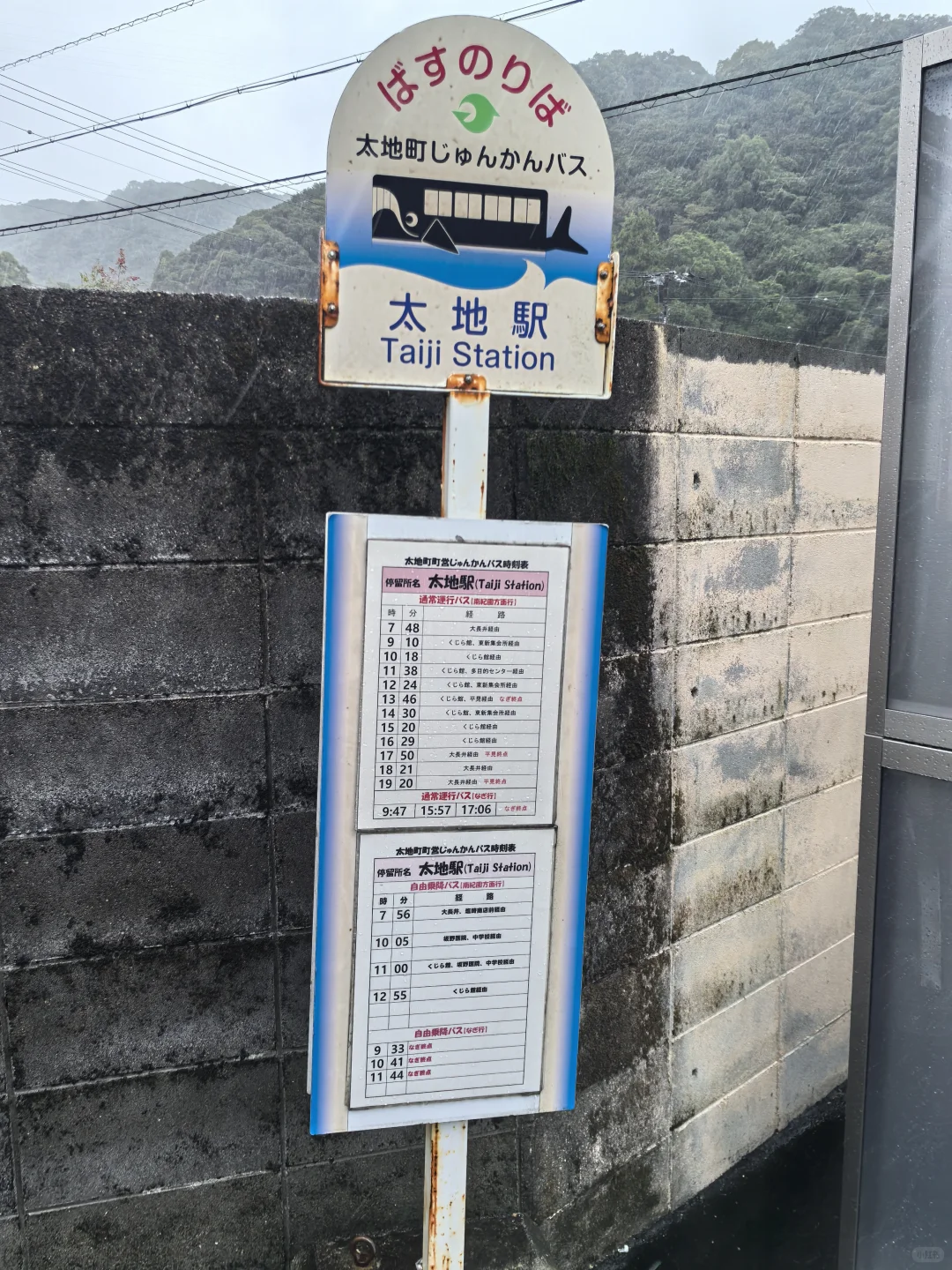 日本关西地区纪伊半岛和歌山太地町，海豚湾