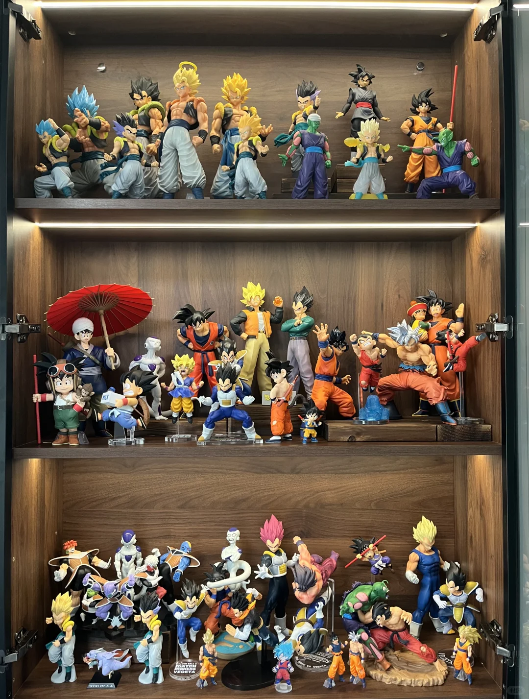 入坑半年的龙珠景品