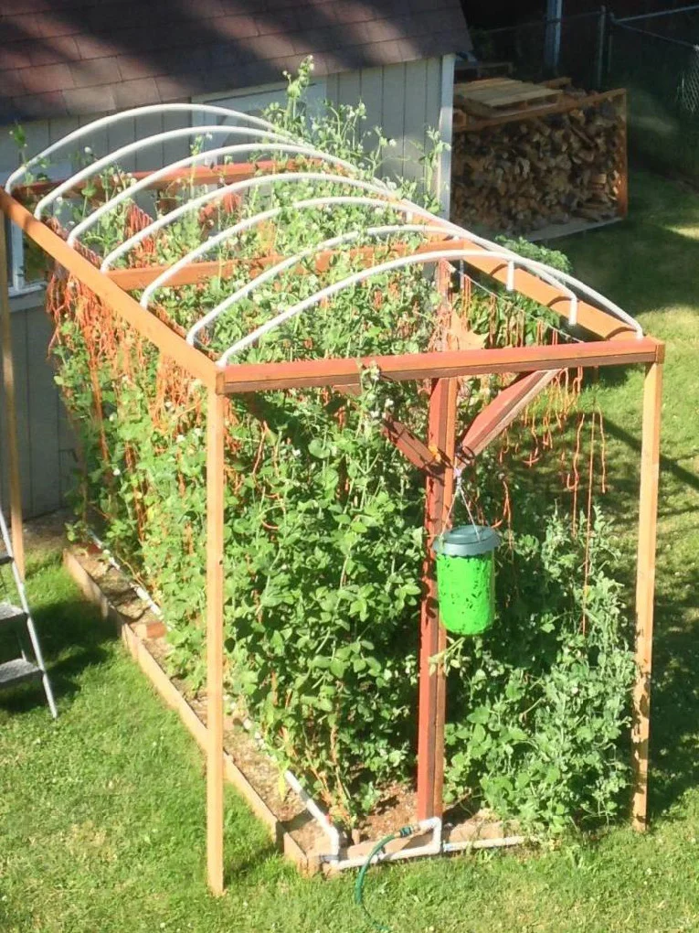 用上这些灌溉系统很高级