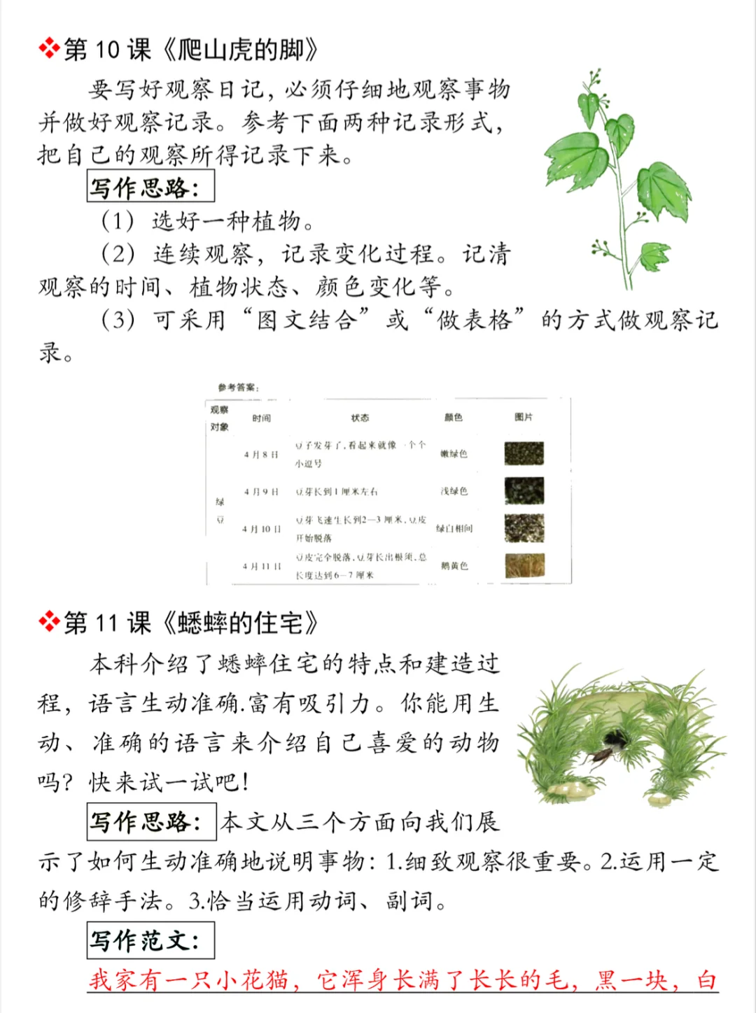 四年级语文课后小练笔|提升写作能力就靠它