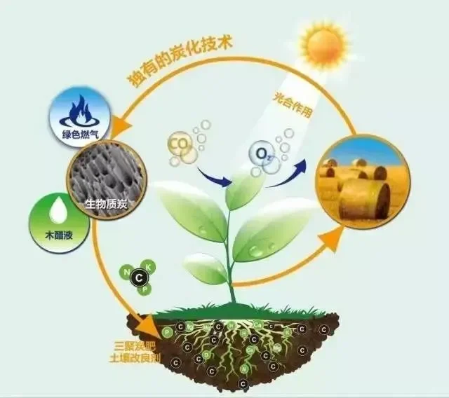 生物炭:助力碳汇,守护地球家园碳汇