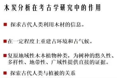 考古科普丨木材考古学