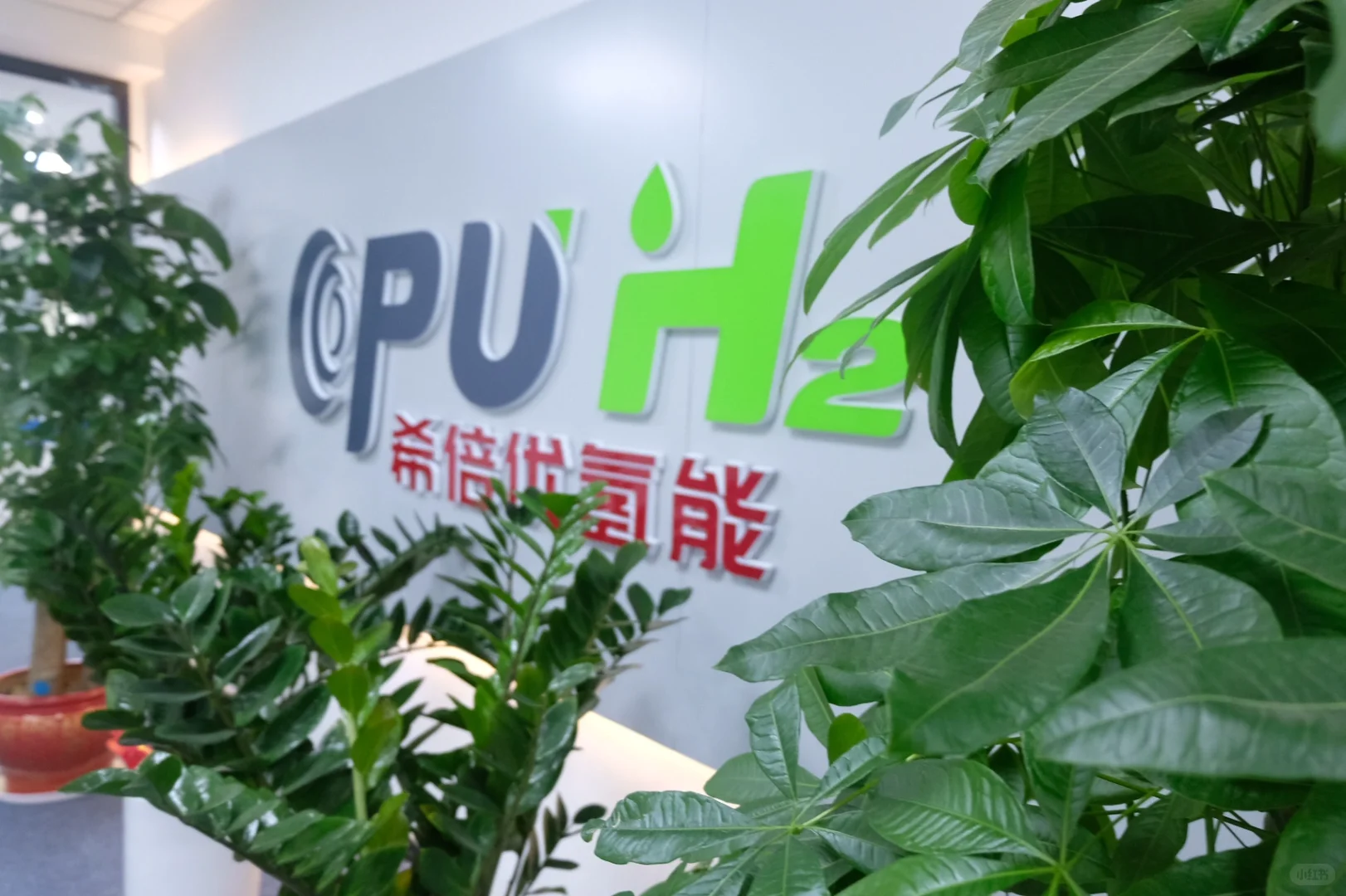 官宣！希倍优氢能源科技有限公司入驻小红书