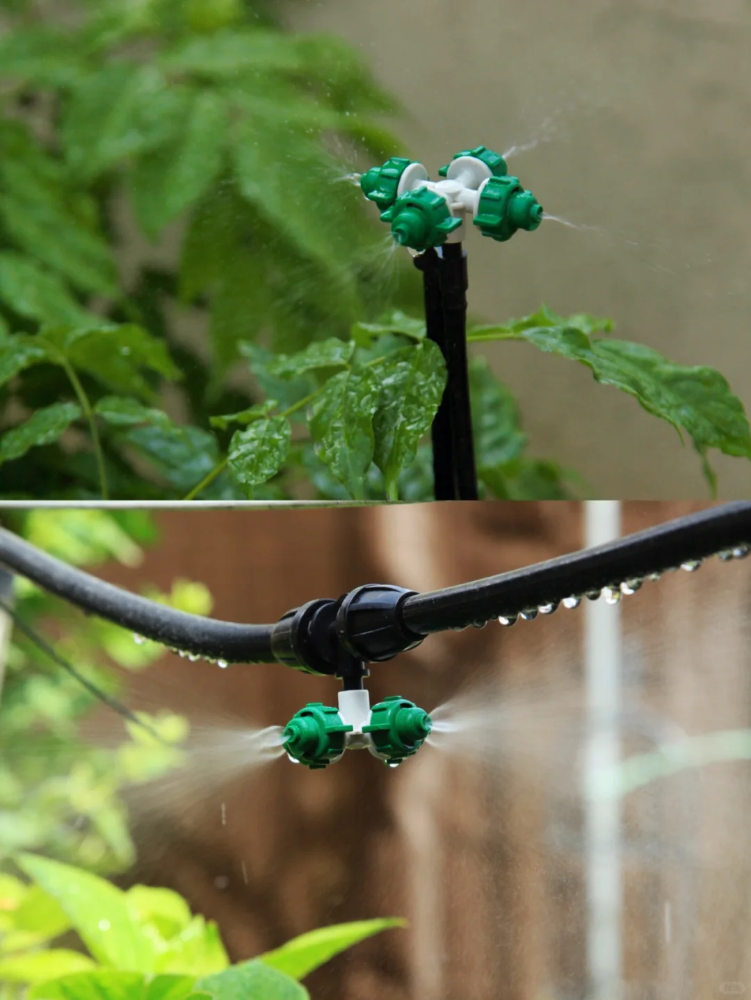 植物续命&解放双手-全自动滴灌系统DIY详解