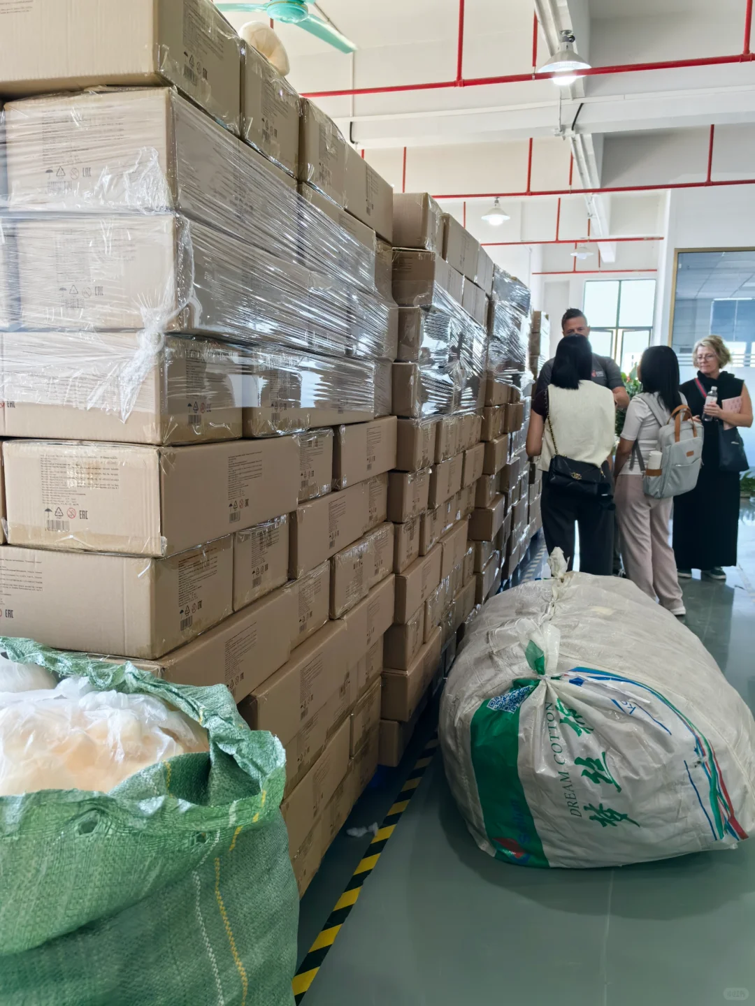 00小伙每天竟被玩偶包围