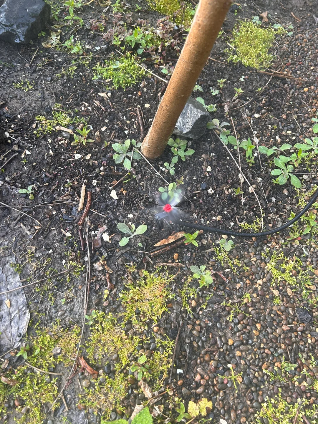 TEMU上买的自动灌溉喷头到底怎么用