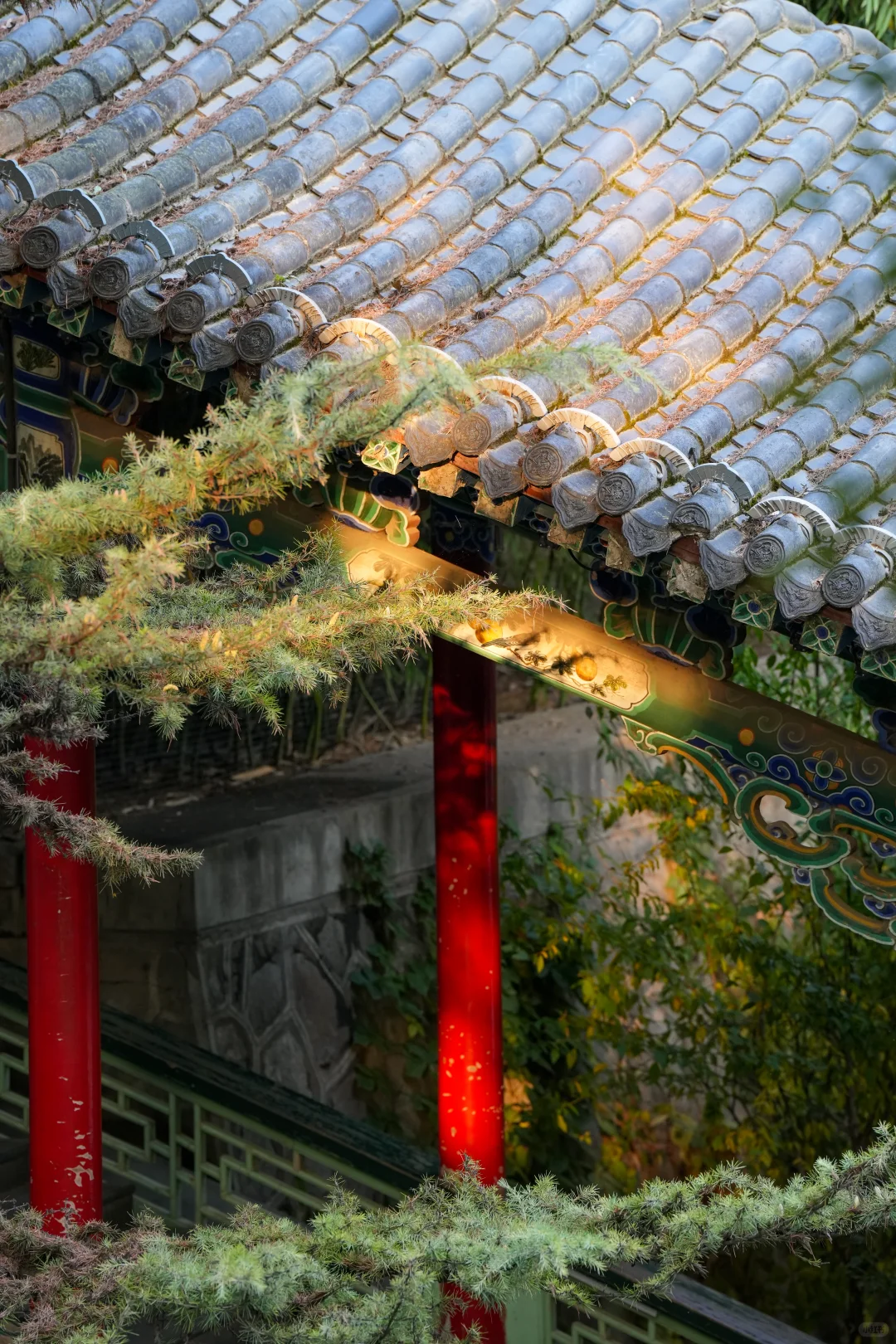 兰州第1天｜中山桥➕白塔山公园