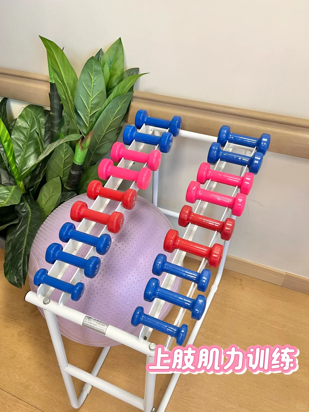 真被宁波这家养老院震惊到?