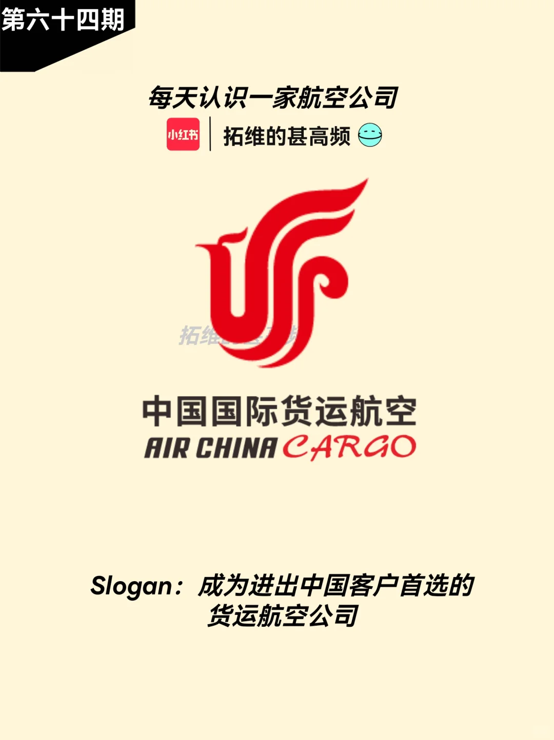 每天认识一个航空公司|中国国际货运航空