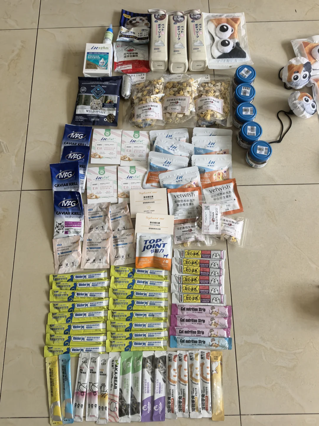 打卡有宠生活2025年宠物展-国际展览中心