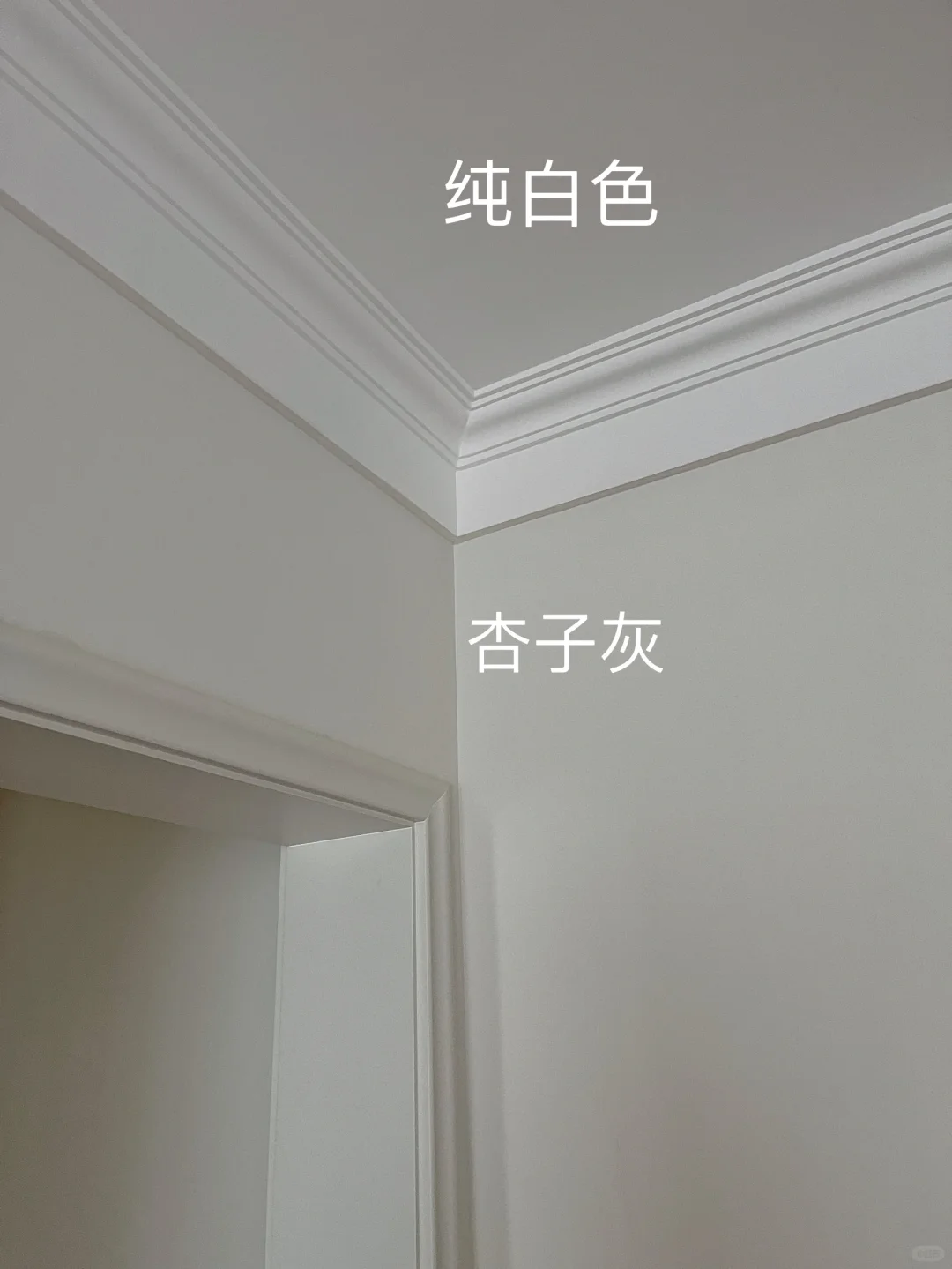 跟着小红书装修没翻车，杏子灰yyds