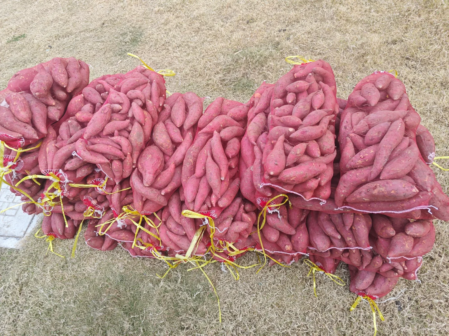 一个月帮爸妈卖掉了7000斤红薯,过程可复制