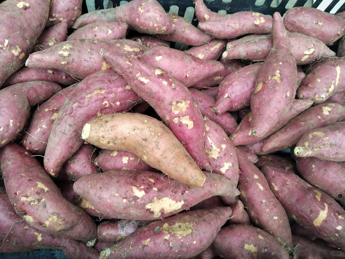 我不是不赊账，是赊不起了