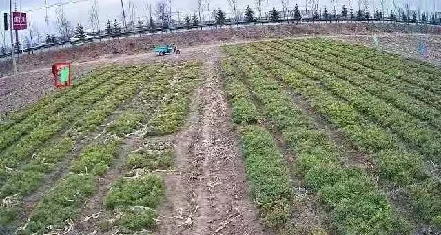 大型果园周界防范设计方案