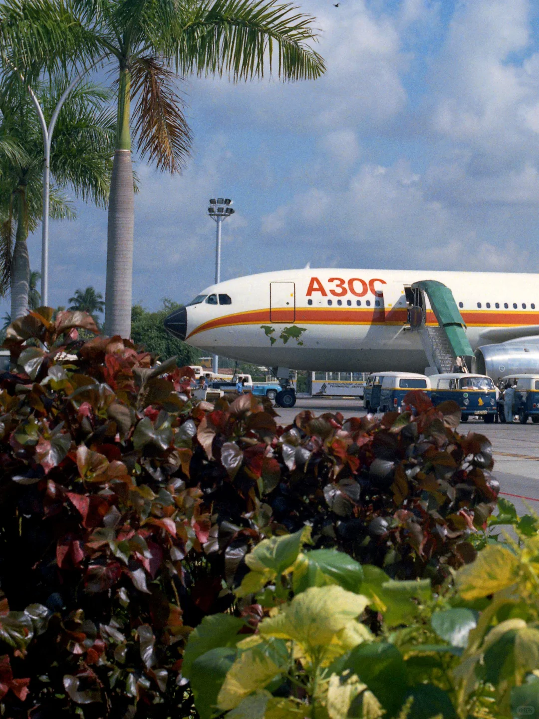 一个伟大的开端