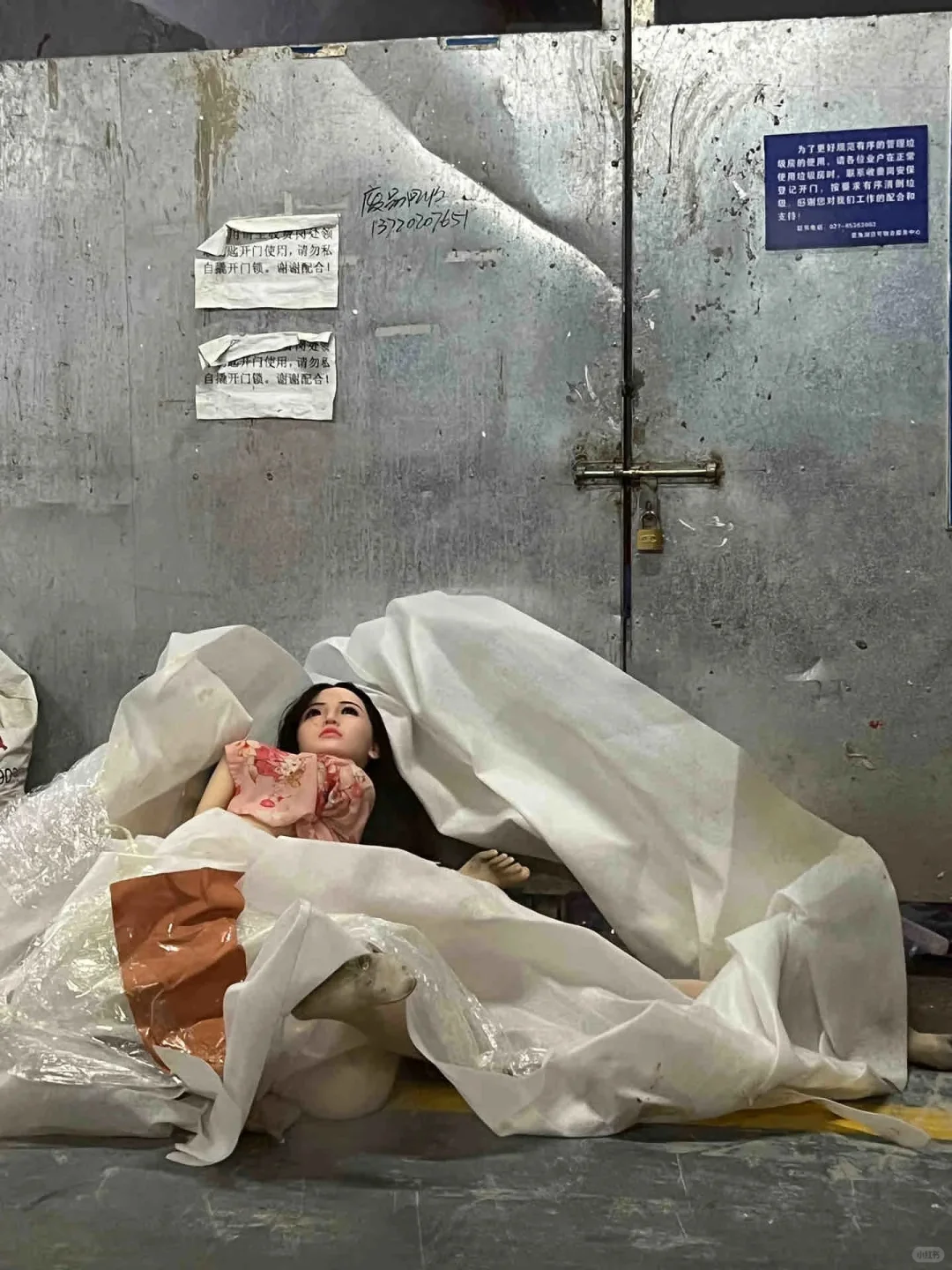 晚上从停车场路过在旁边垃圾桶看到，当时被