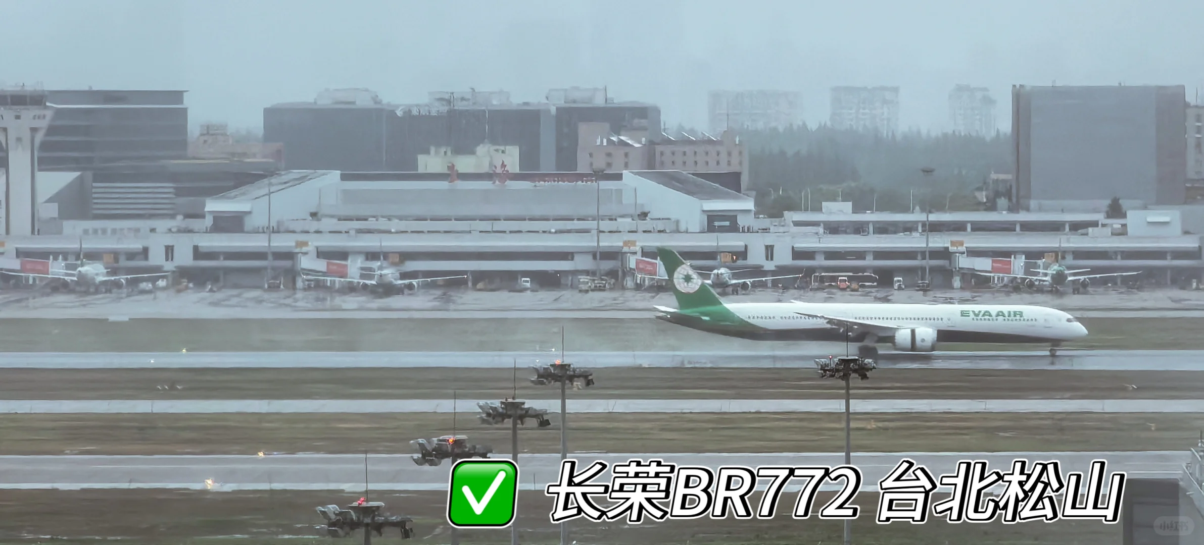 虹桥机场全景打卡 宽体机盛宴