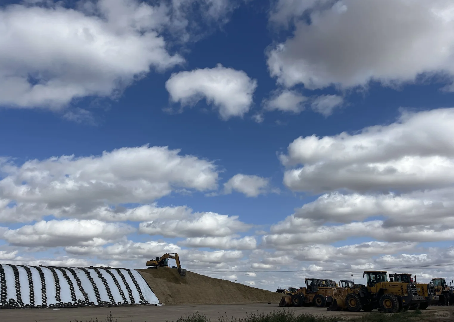 文科毕业生在牧场