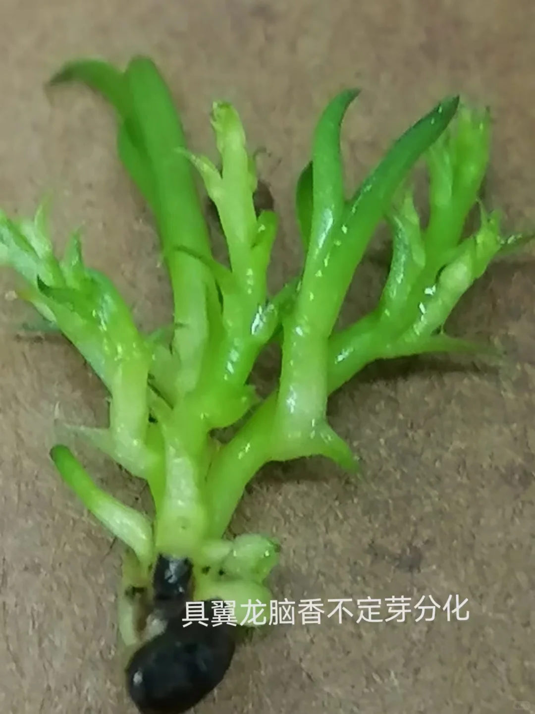 农业为什么挣钱难???