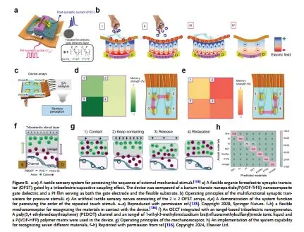 用于可穿戴近集成功能的柔性神经形态器件