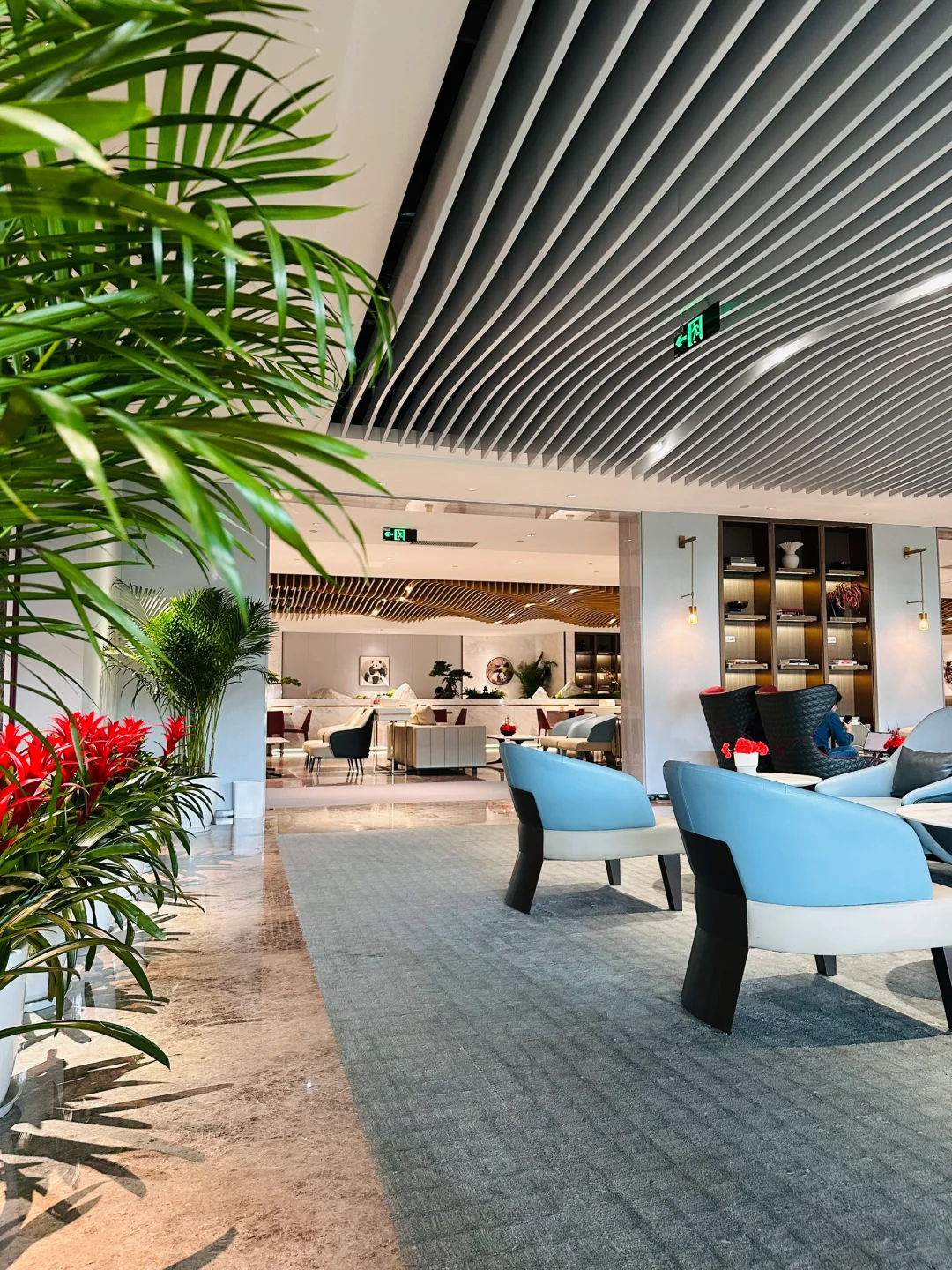 四川航空熊猫小飞侠 A350公务舱体验?️