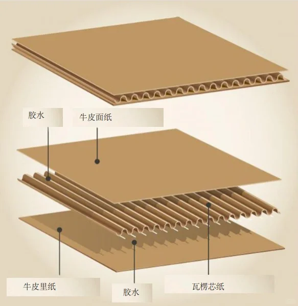 瓦楞纸板结构