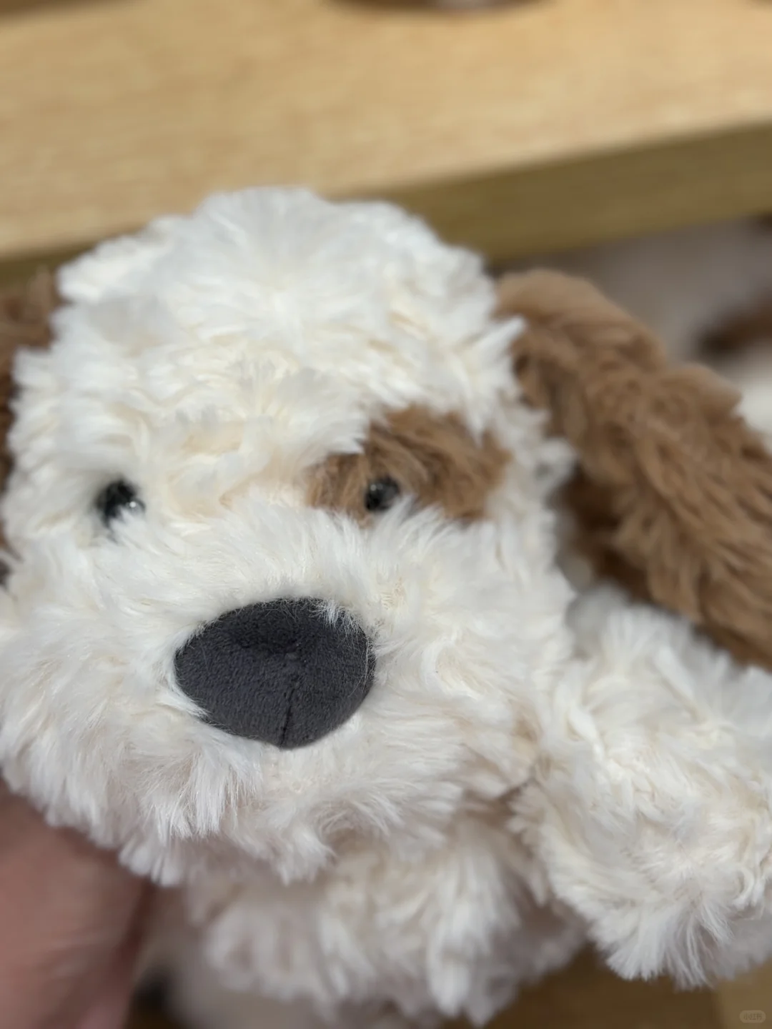 好可爱的玩偶?想抱回家