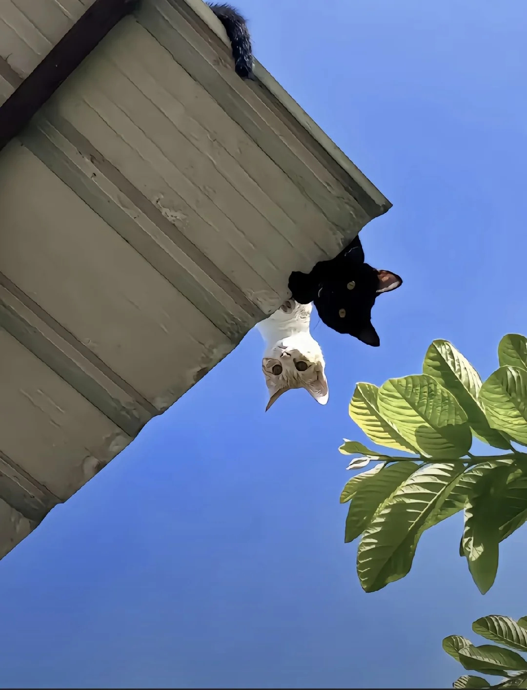 工业工程-秋招总结-面试篇