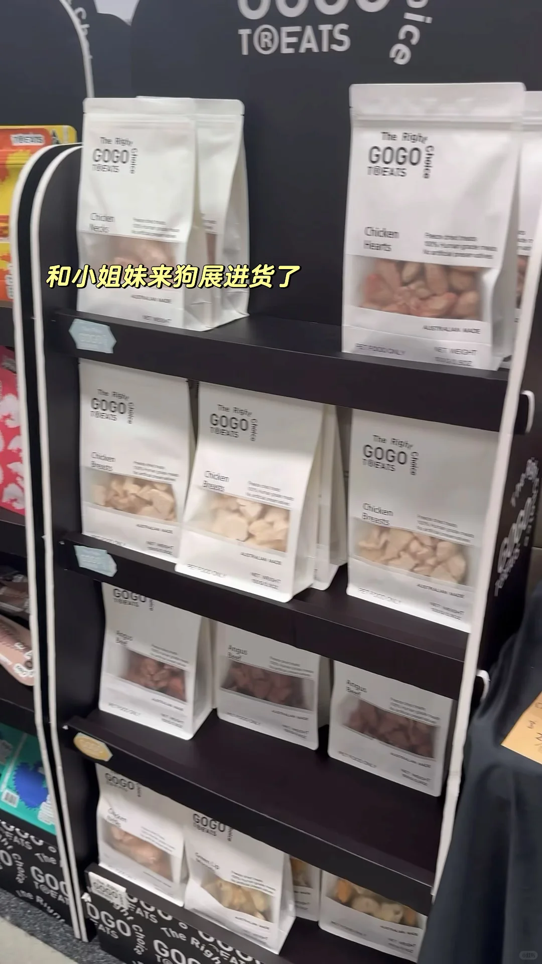 ??38周小孕妇勇闯狗展的一天plog