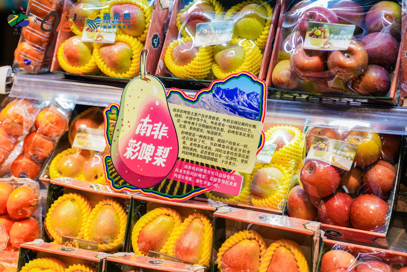 北京OLe合生汇南非水果推介会