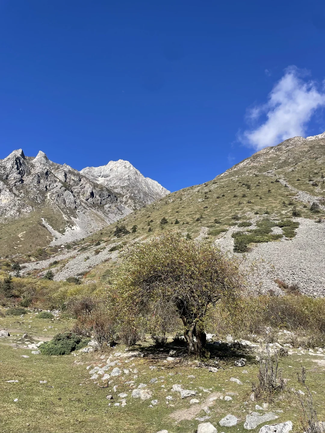 又又又来勒多曼因啦!3天2夜徒步装备清单