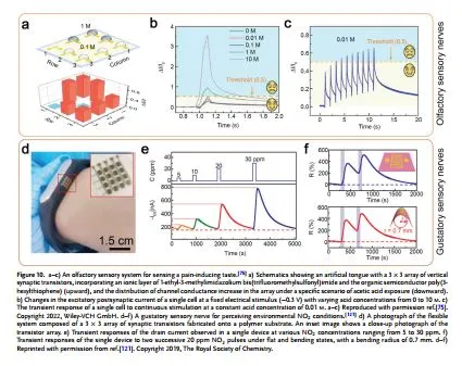 用于可穿戴近集成功能的柔性神经形态器件
