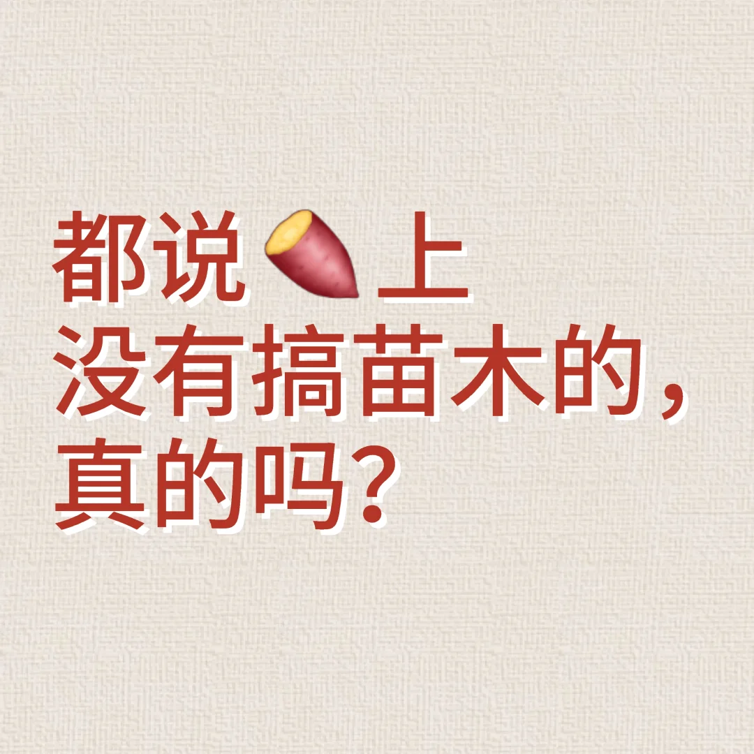 ?苗木人集合啦！