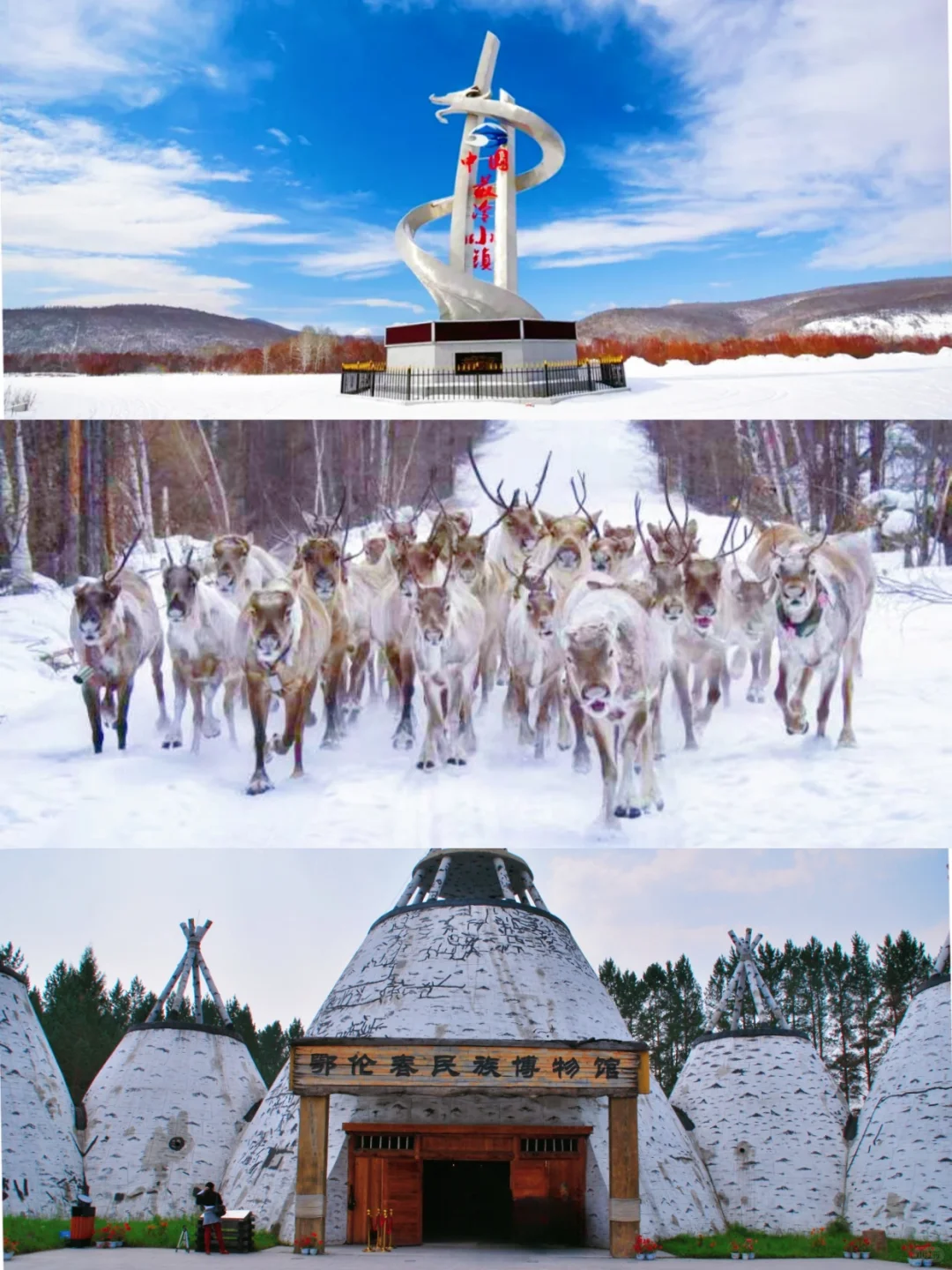 龙江冰雪推介会青岛站！我们来啦