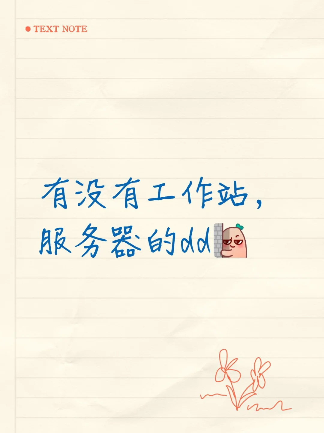 在线蹲一个工作站服务器搭子