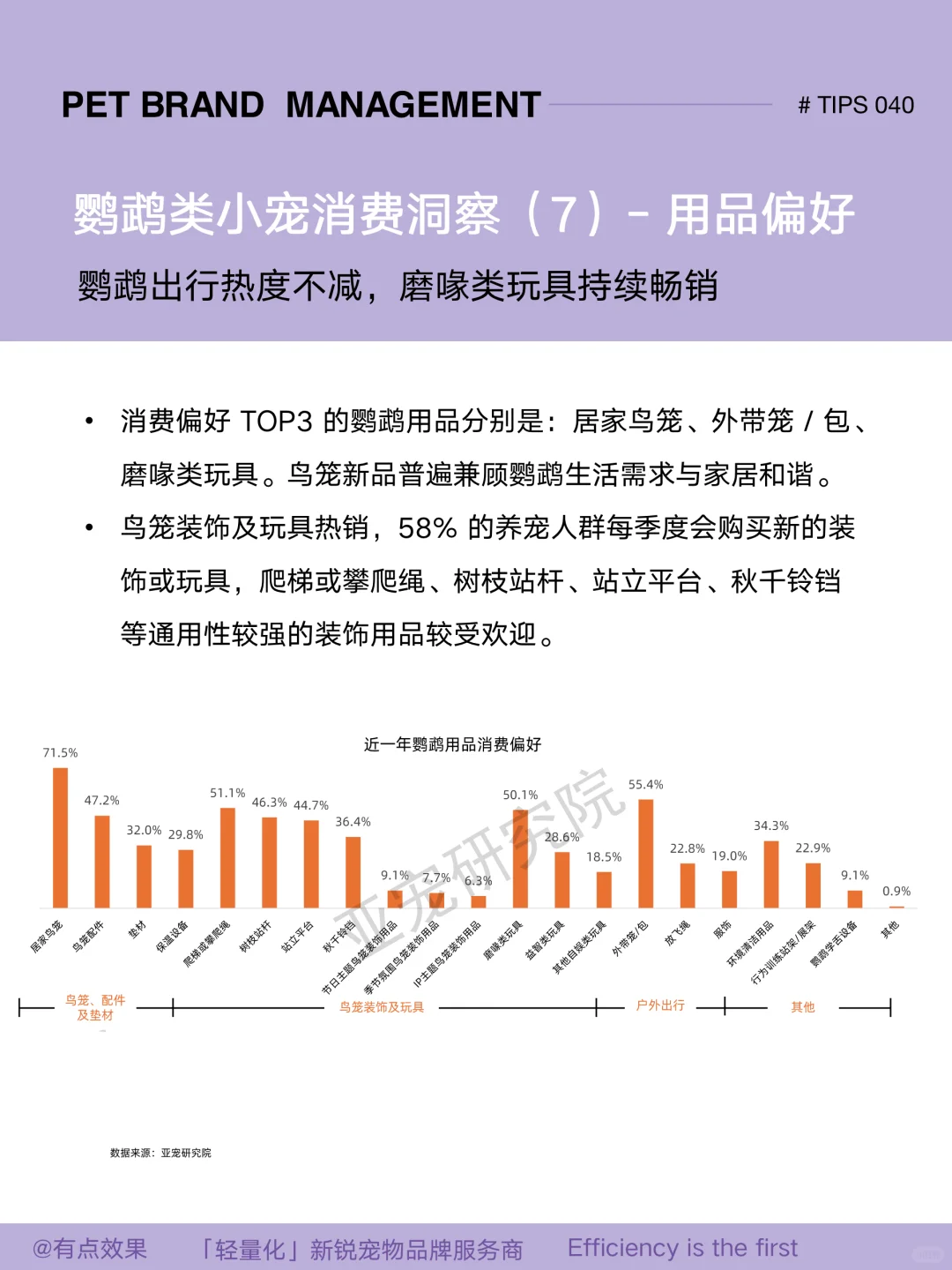 040tips｜2025小宠市场：鹦鹉