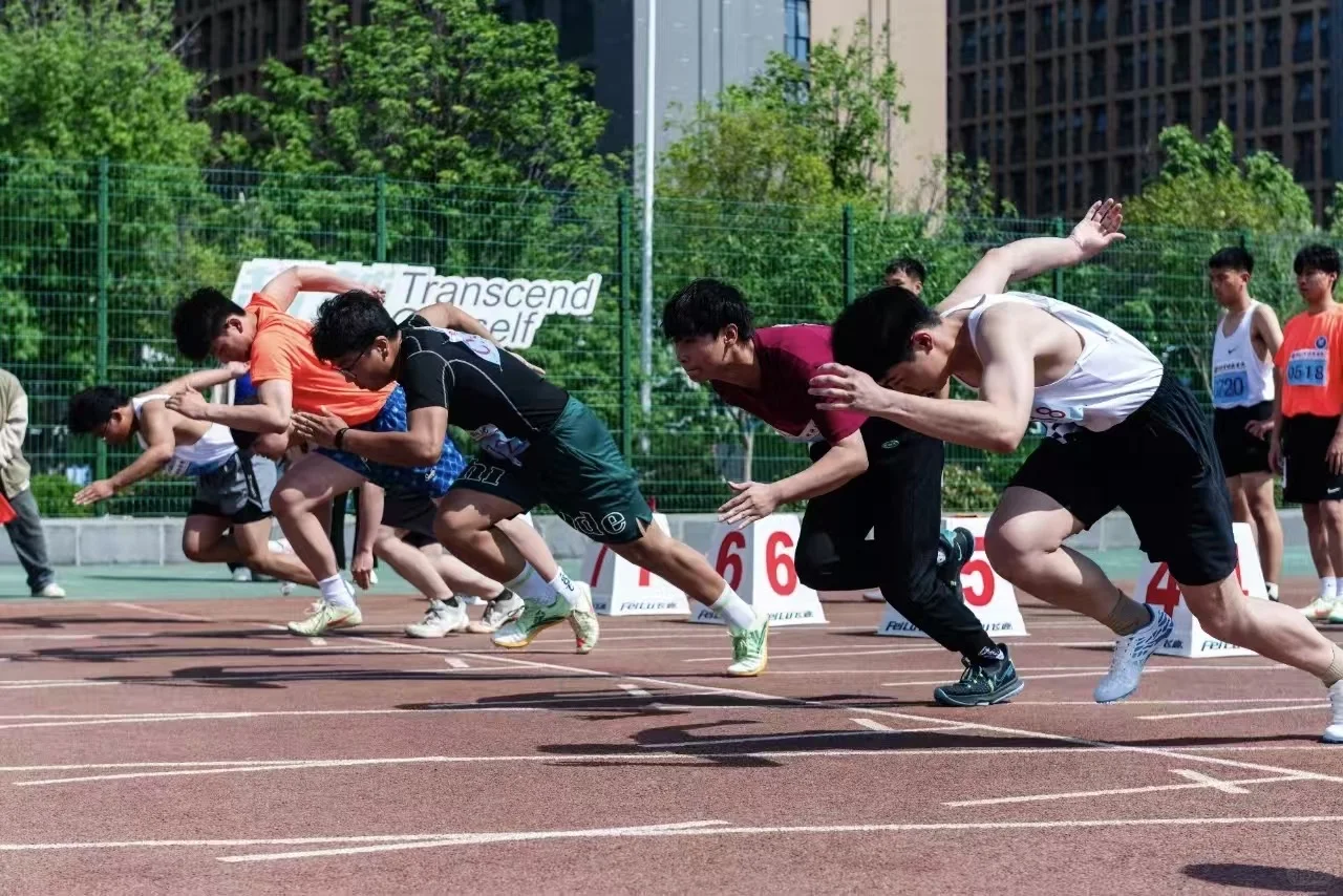 做一只“勇敢”的小羊?!