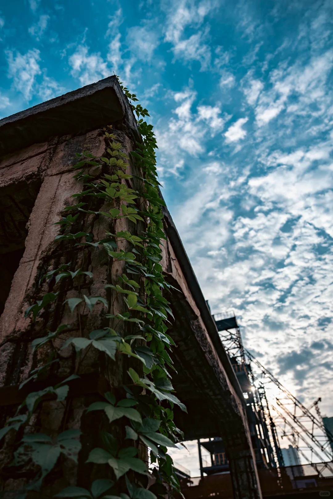 超出片的公园，距离济宁市区1小时车程