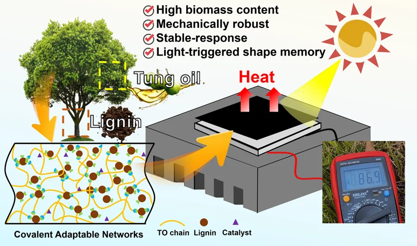 生物质基材料实现高效光热电转换