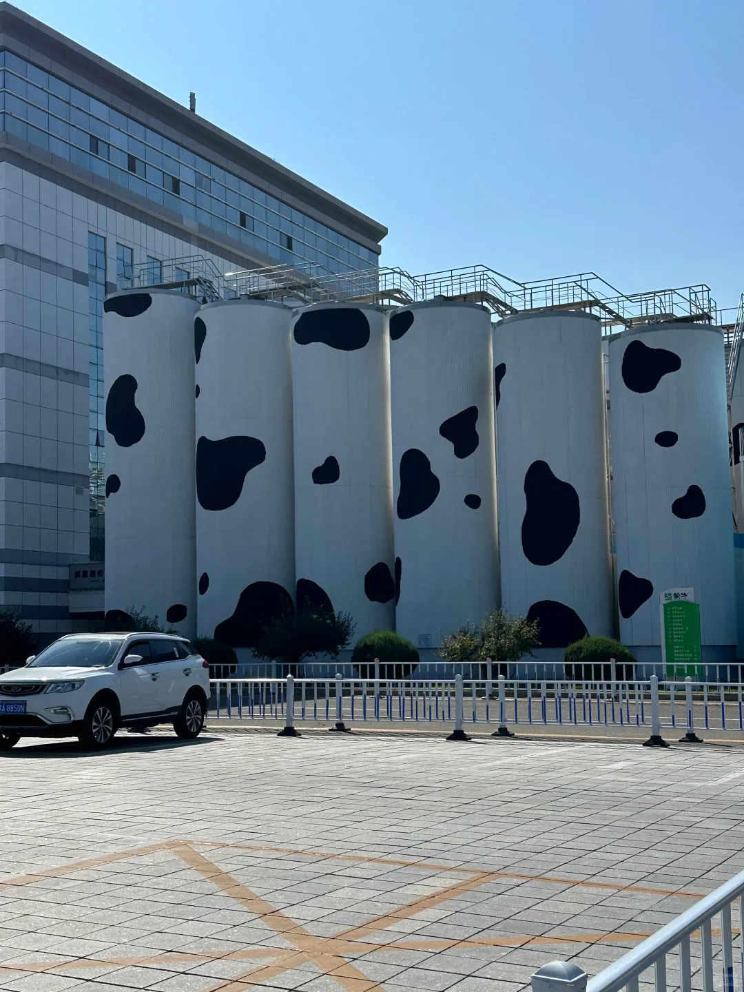 蒙牛牛奶厂招聘~